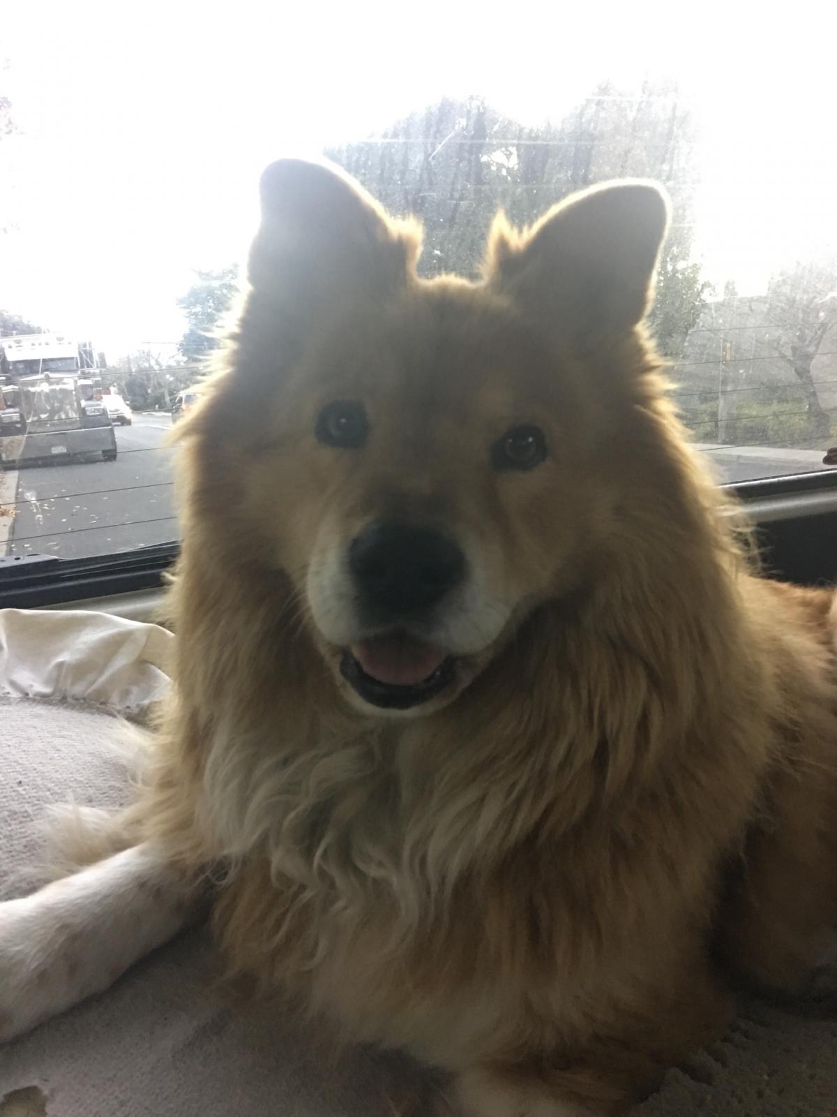 Image may have been reduced in size. Click image to view fullscreen.