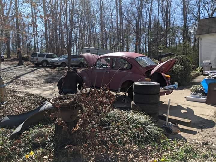 Image may have been reduced in size. Click image to view fullscreen.