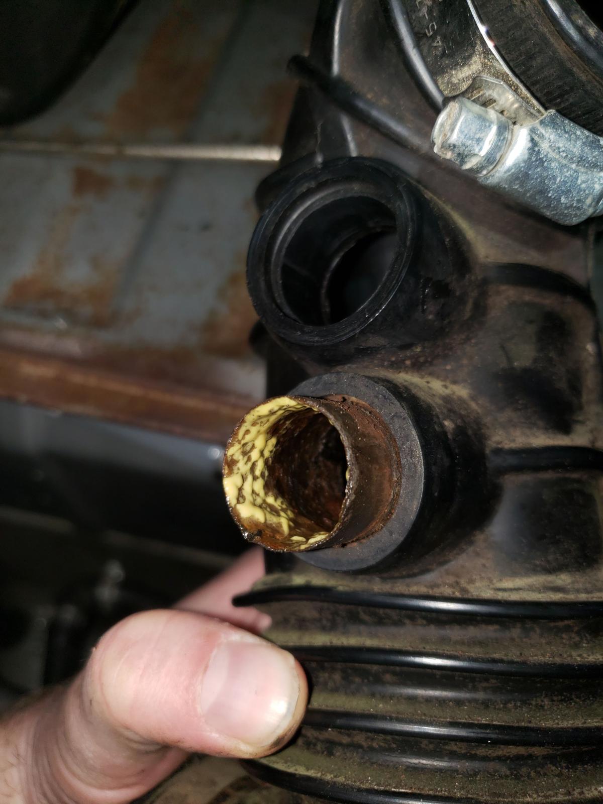 Image may have been reduced in size. Click image to view fullscreen.