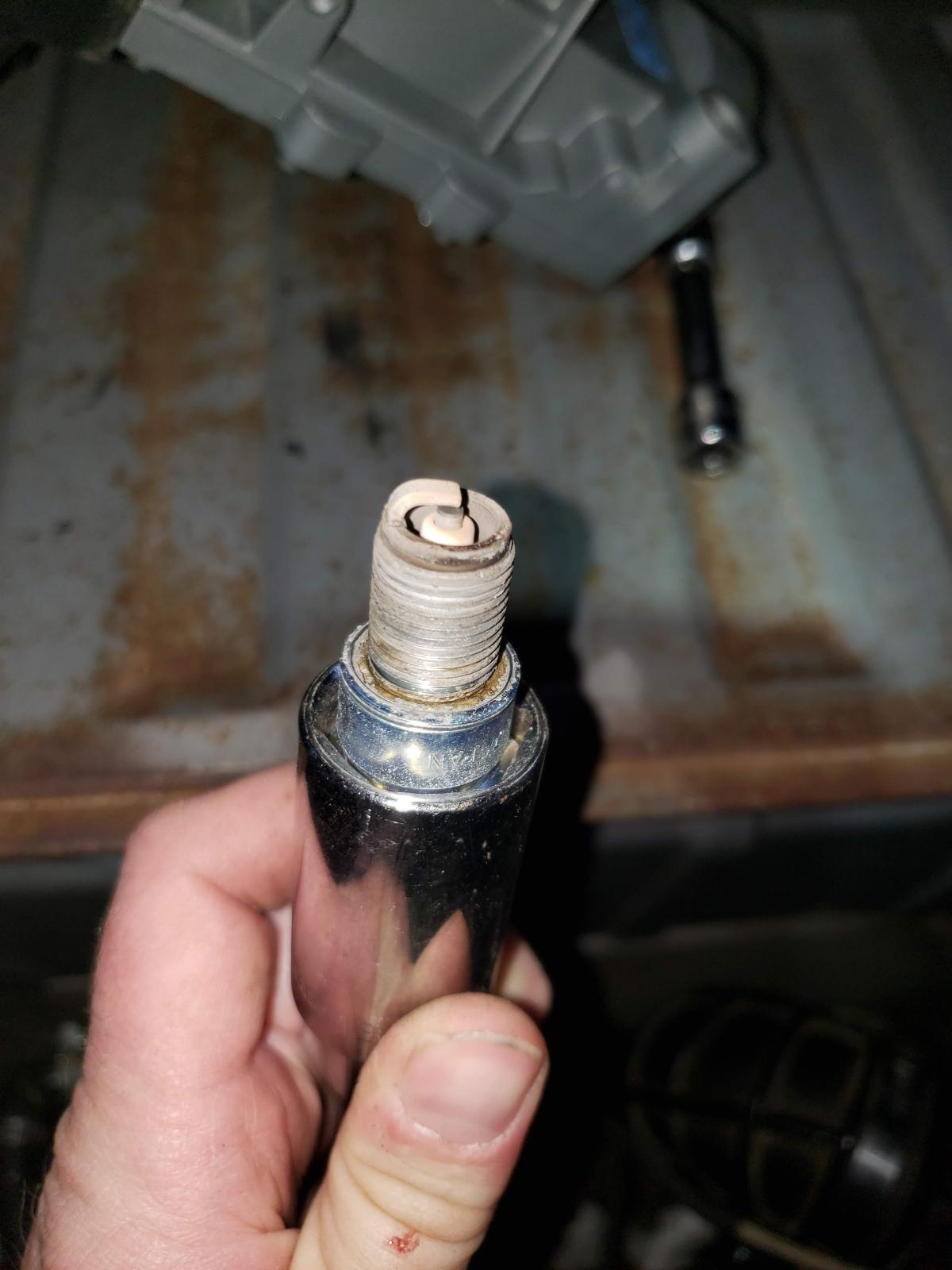 Image may have been reduced in size. Click image to view fullscreen.