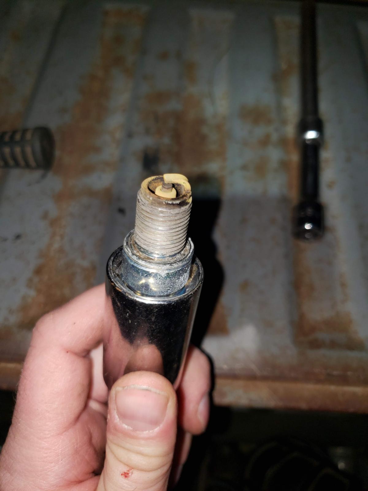 Image may have been reduced in size. Click image to view fullscreen.