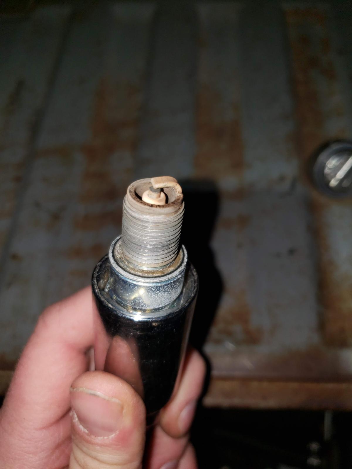 Image may have been reduced in size. Click image to view fullscreen.