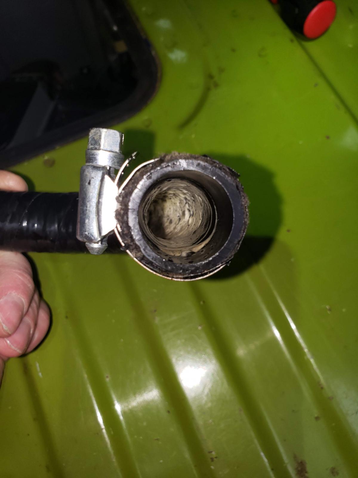 Image may have been reduced in size. Click image to view fullscreen.