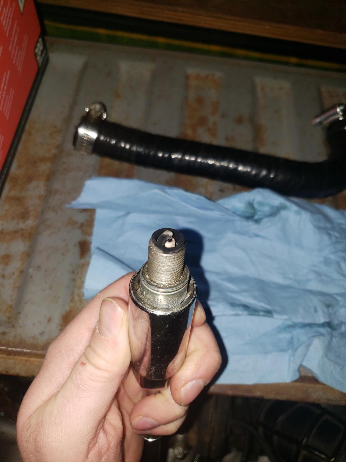 Image may have been reduced in size. Click image to view fullscreen.