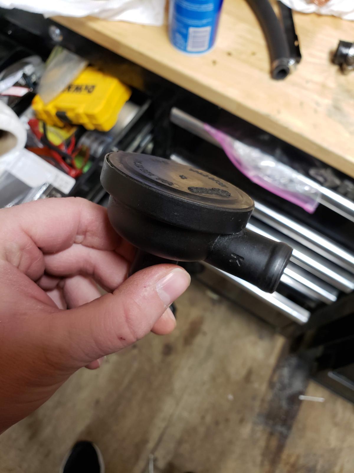 Image may have been reduced in size. Click image to view fullscreen.