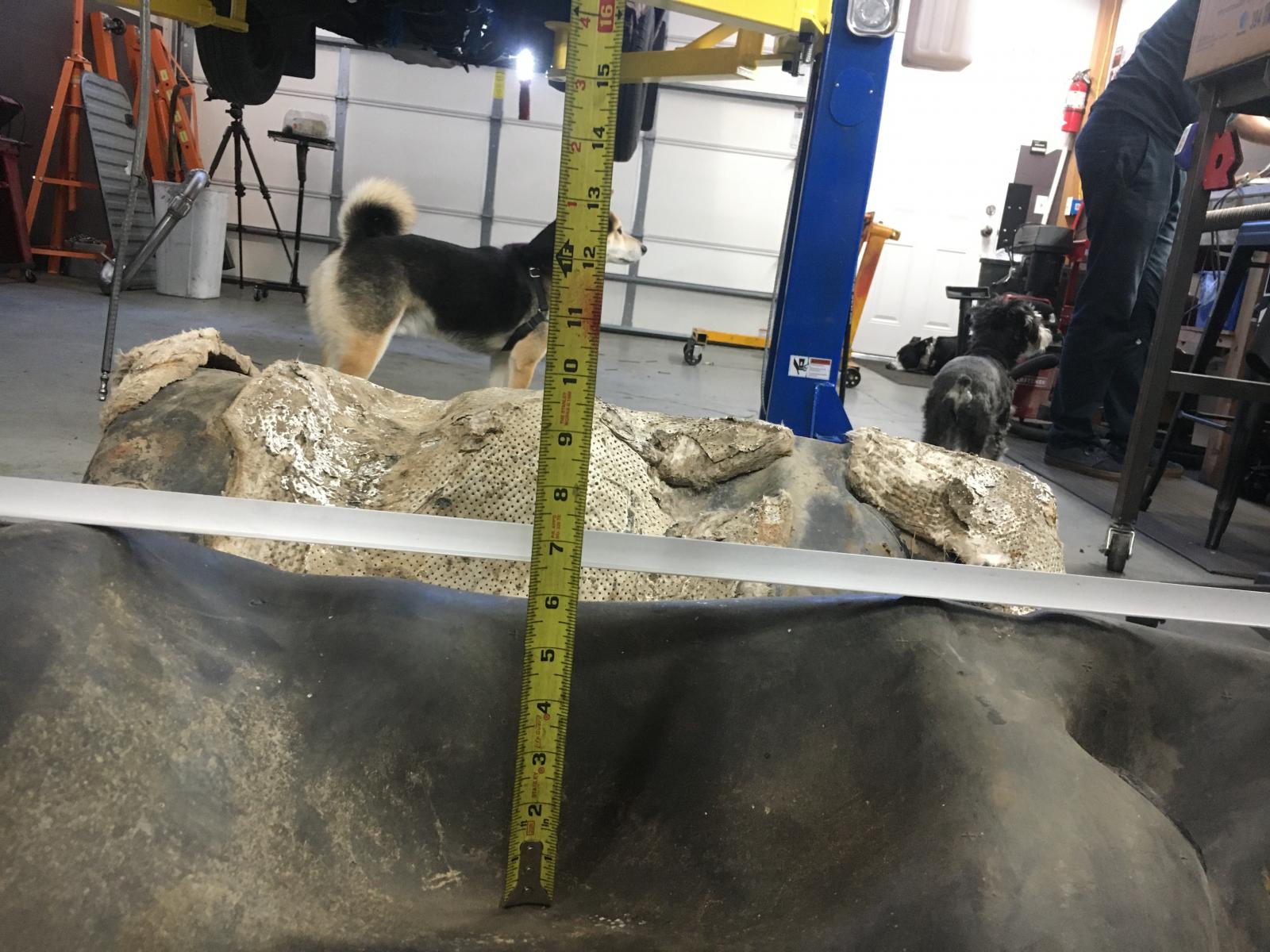 Image may have been reduced in size. Click image to view fullscreen.