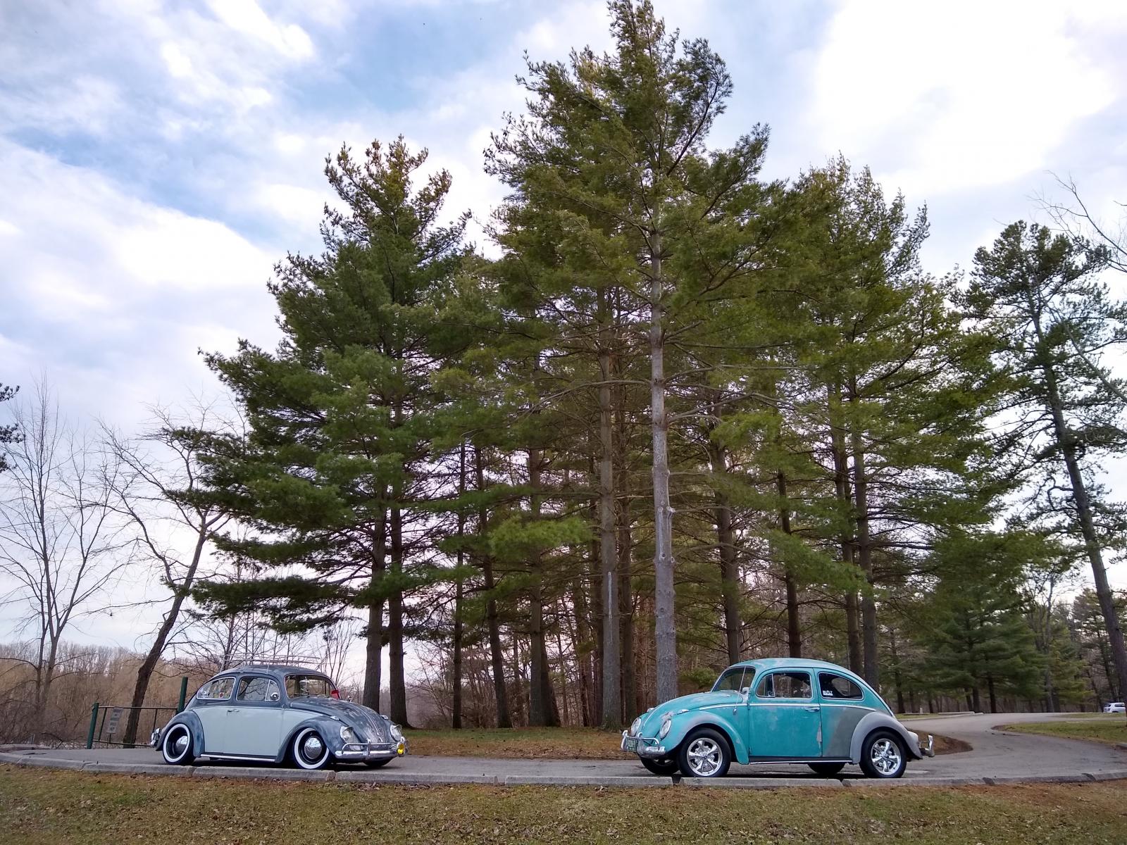 Image may have been reduced in size. Click image to view fullscreen.