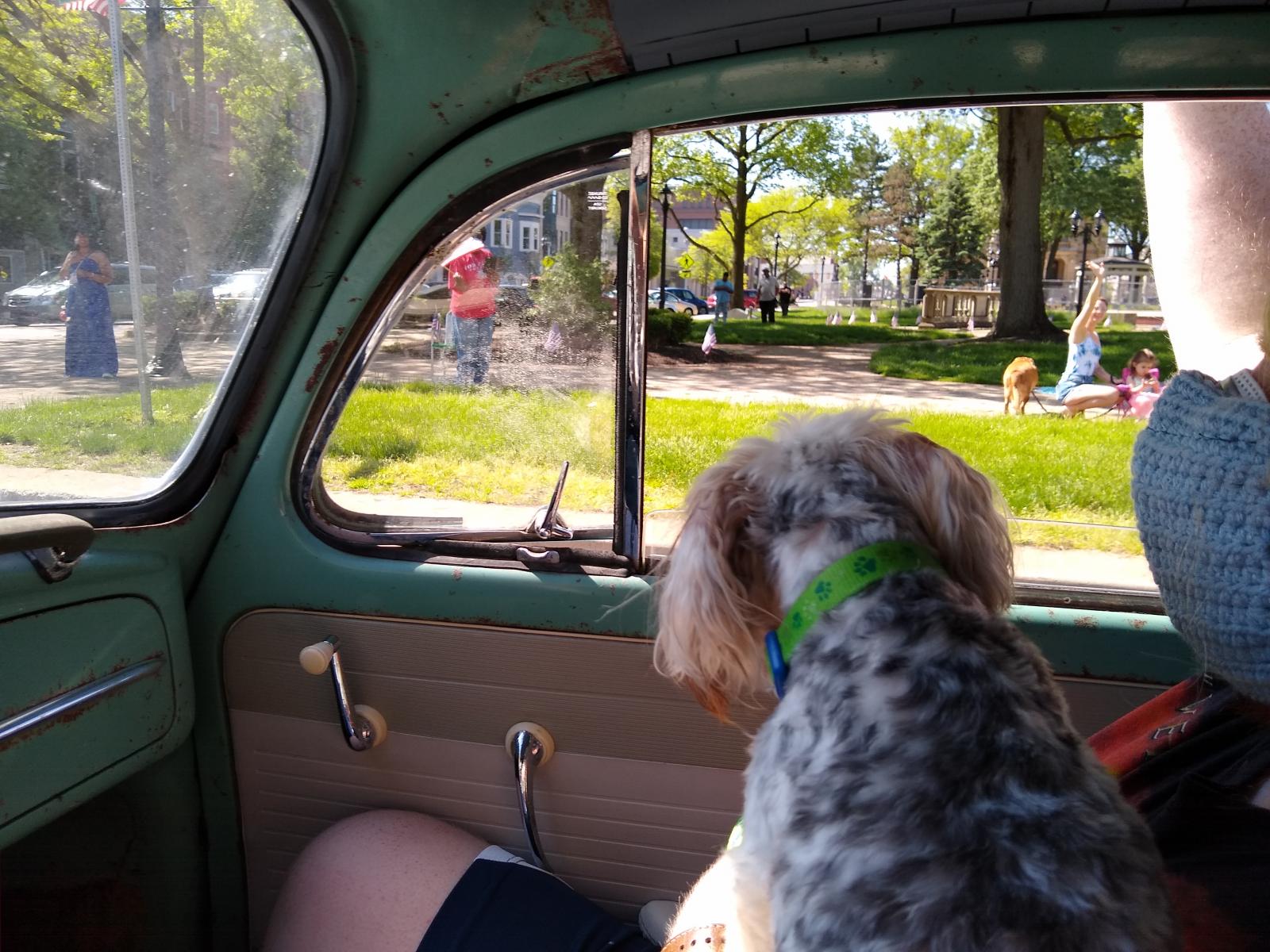 Image may have been reduced in size. Click image to view fullscreen.