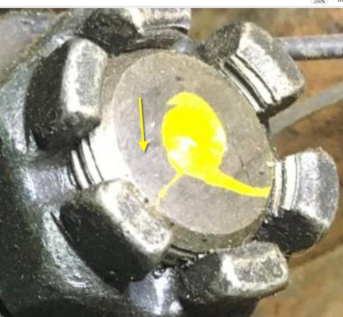 Image may have been reduced in size. Click image to view fullscreen.
