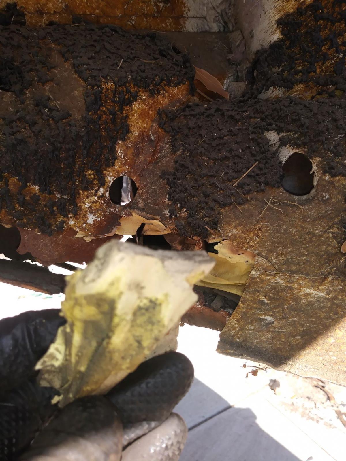 Image may have been reduced in size. Click image to view fullscreen.