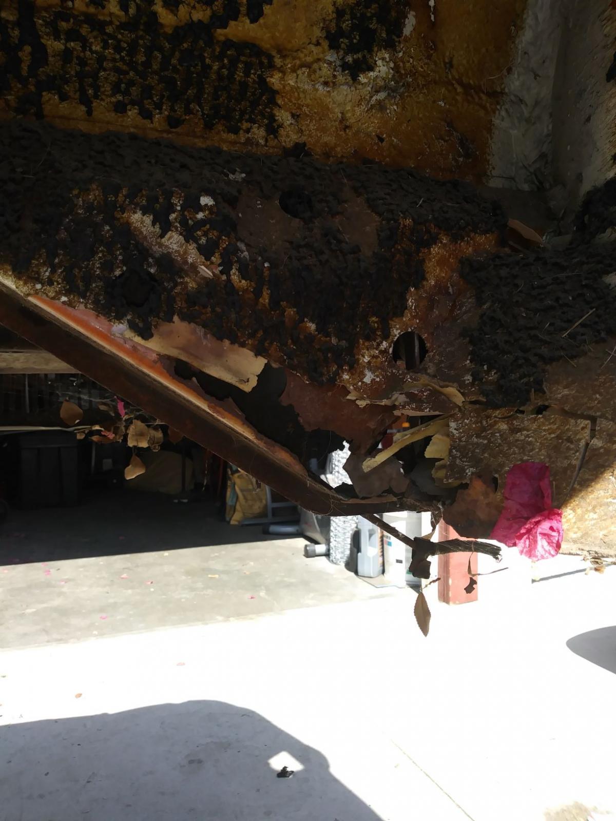 Image may have been reduced in size. Click image to view fullscreen.