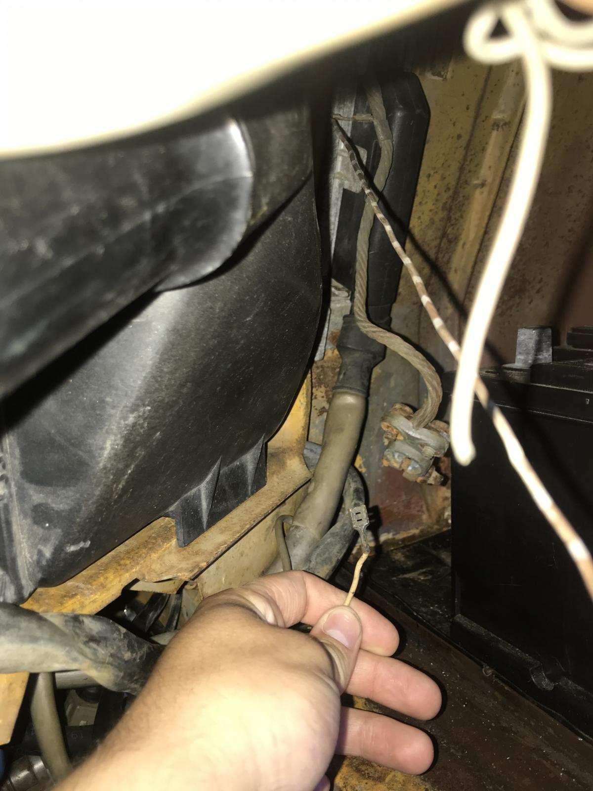 Image may have been reduced in size. Click image to view fullscreen.