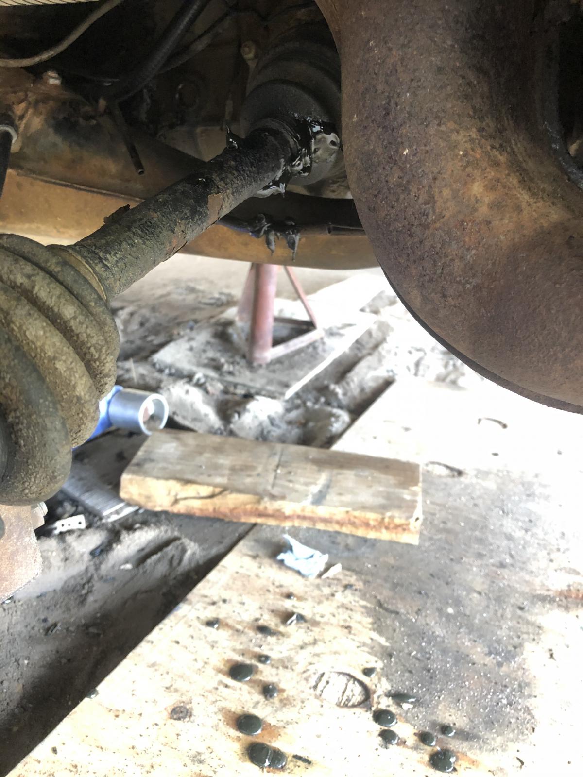 Image may have been reduced in size. Click image to view fullscreen.