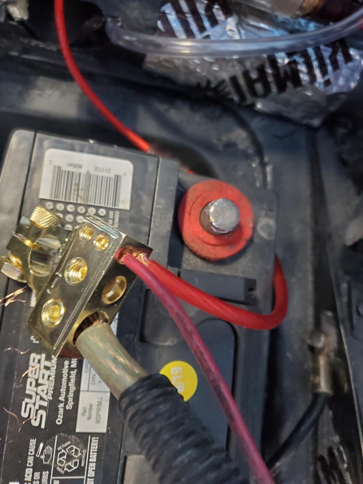 Image may have been reduced in size. Click image to view fullscreen.