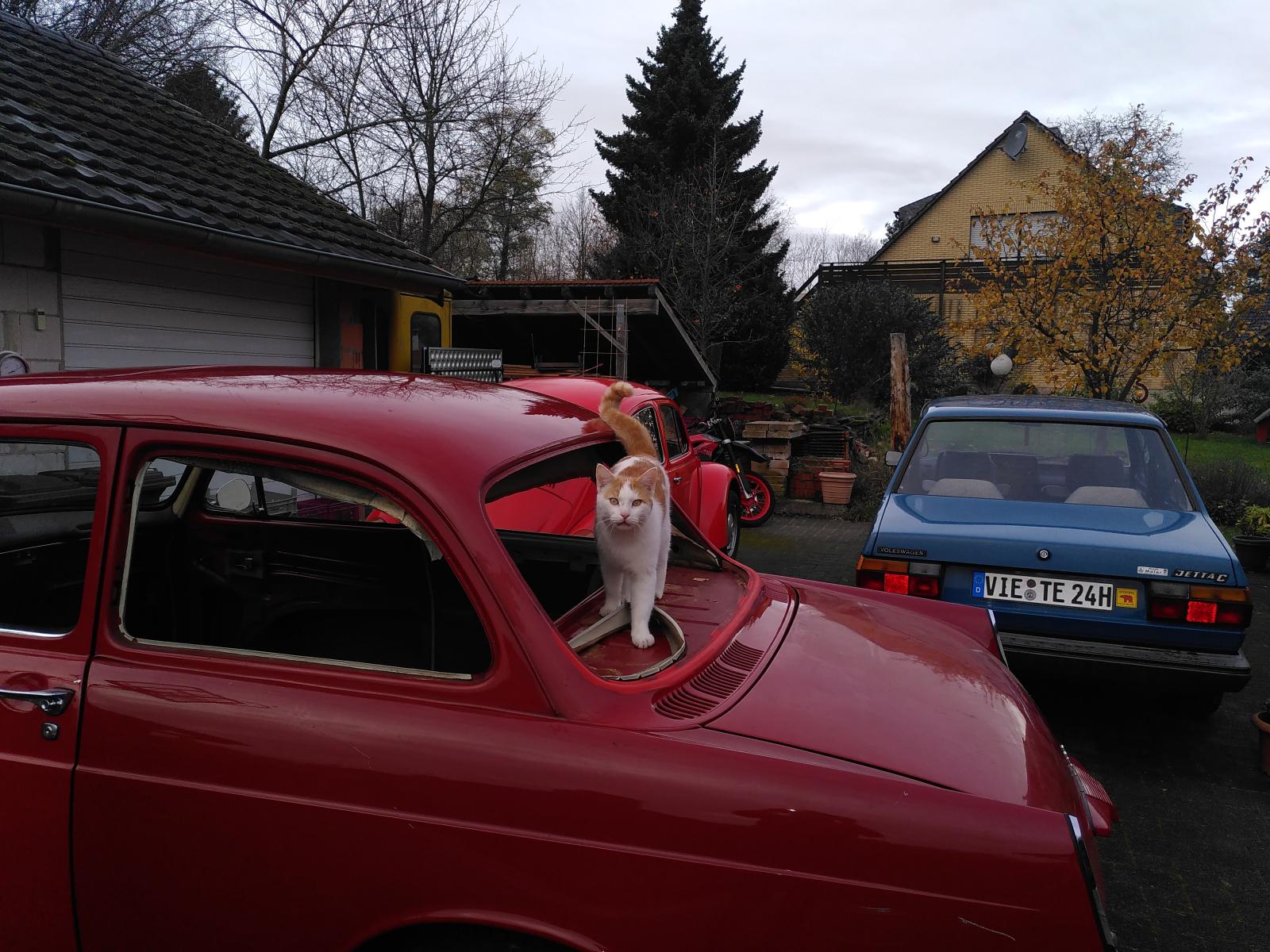 Image may have been reduced in size. Click image to view fullscreen.