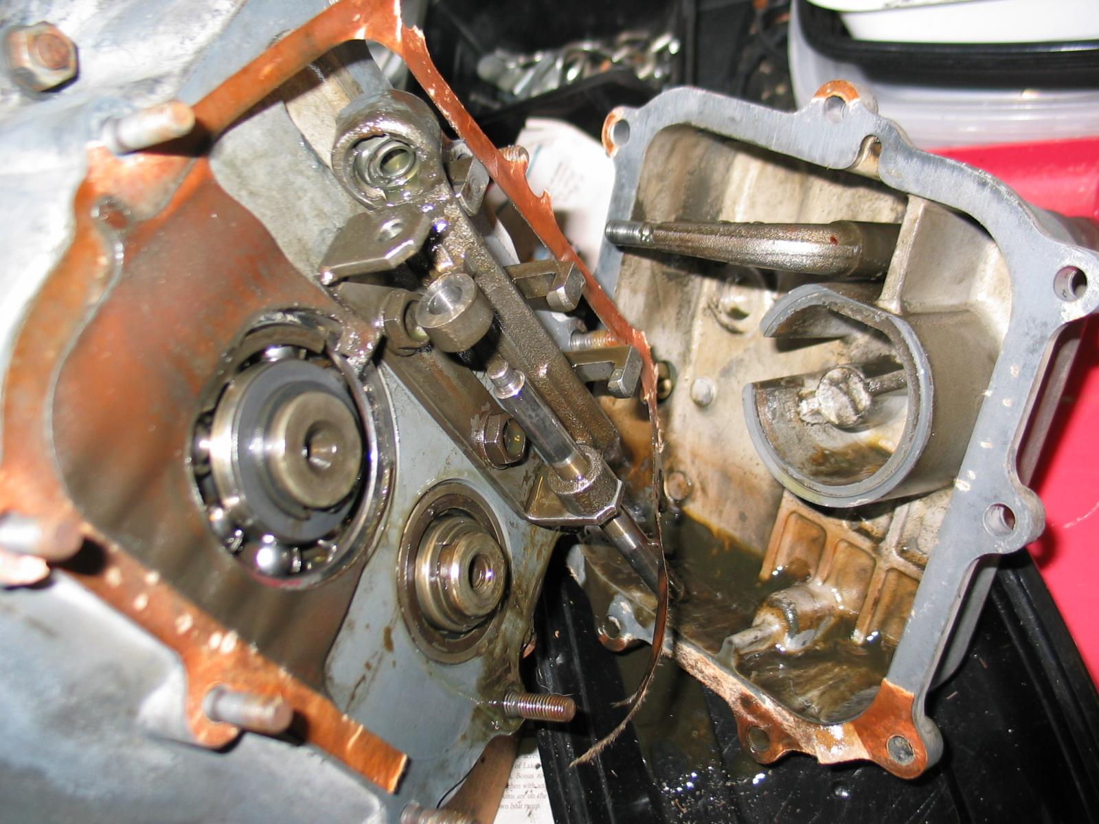 Image may have been reduced in size. Click image to view fullscreen.