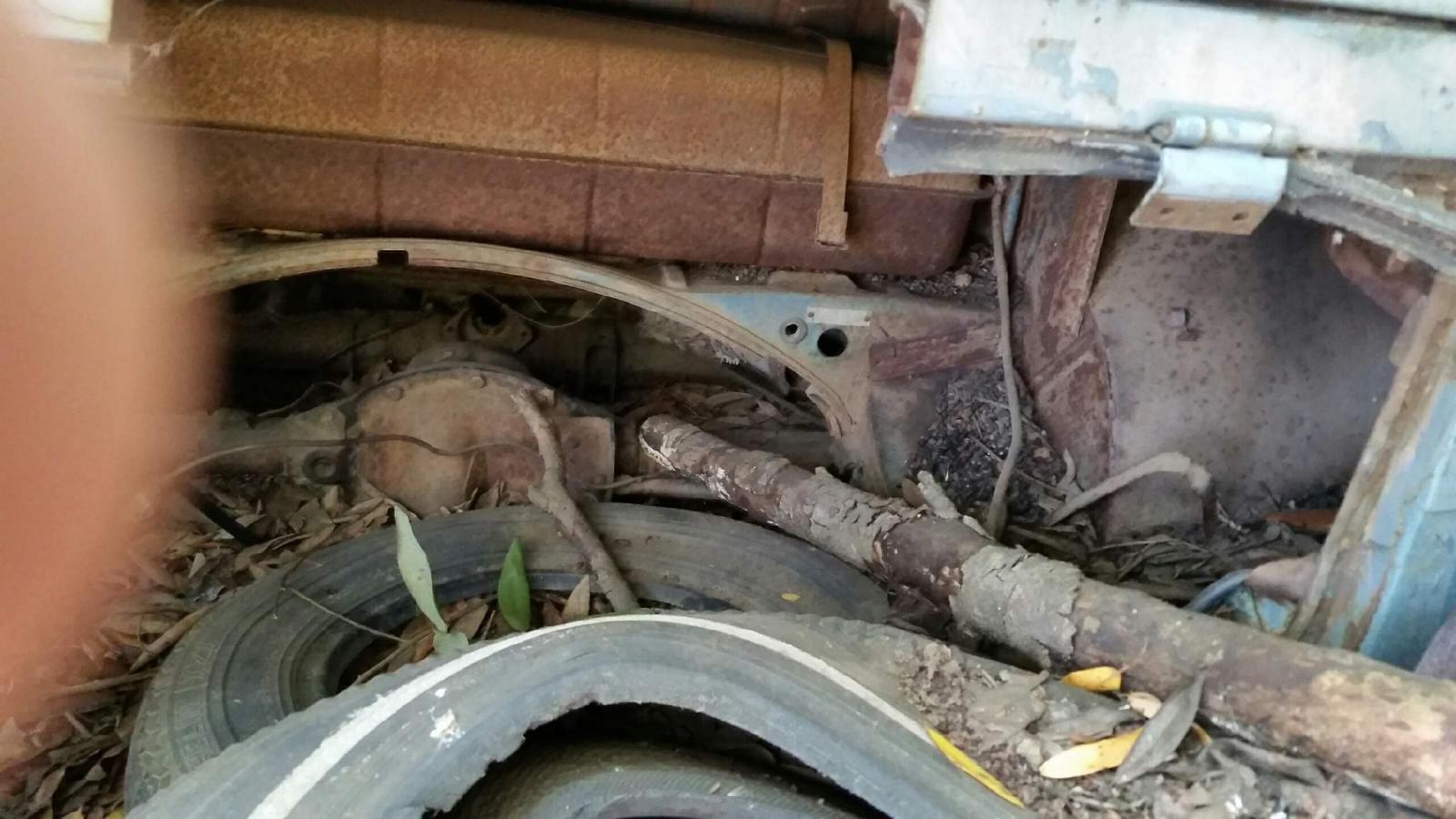 Image may have been reduced in size. Click image to view fullscreen.