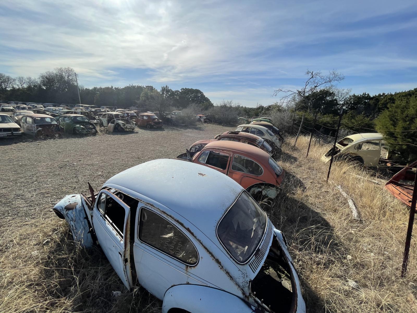 Image may have been reduced in size. Click image to view fullscreen.