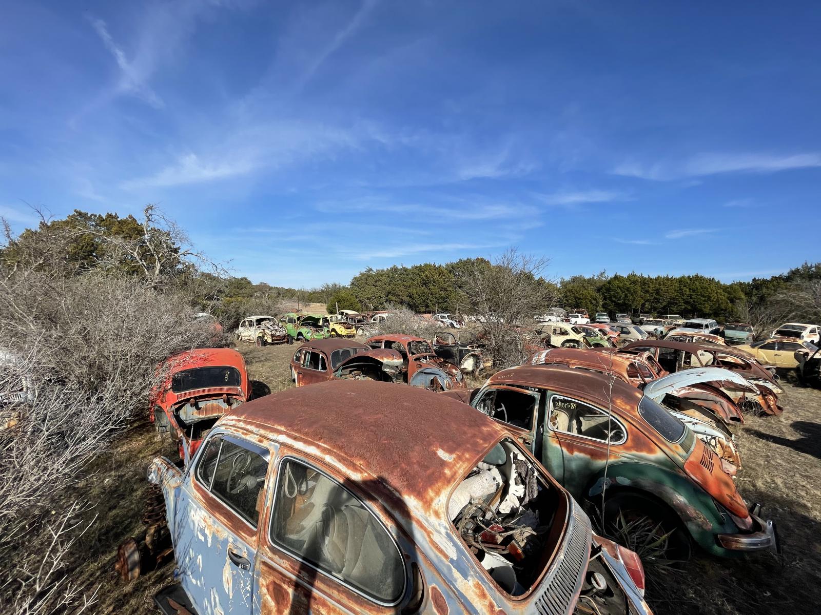 Image may have been reduced in size. Click image to view fullscreen.