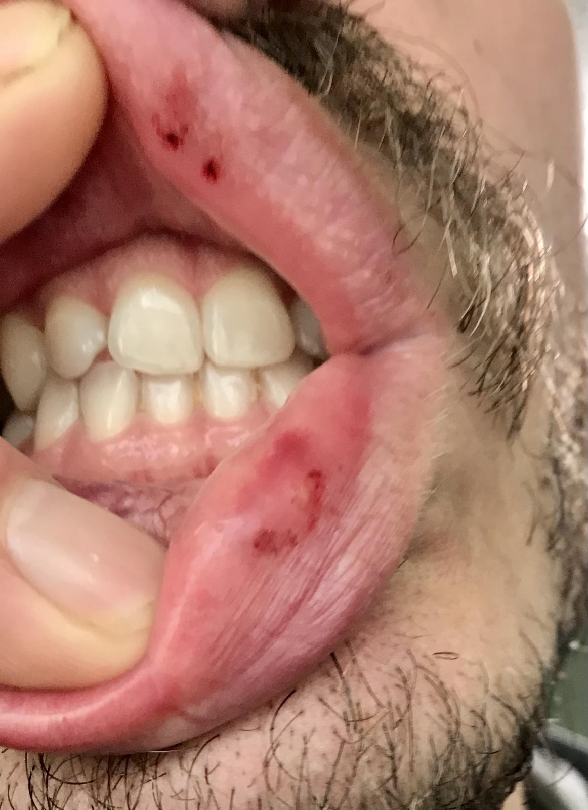 Image may have been reduced in size. Click image to view fullscreen.