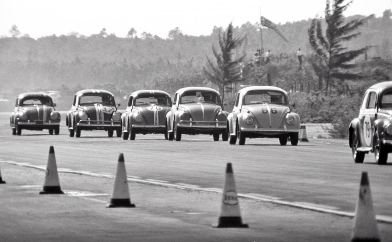 Image may have been reduced in size. Click image to view fullscreen.