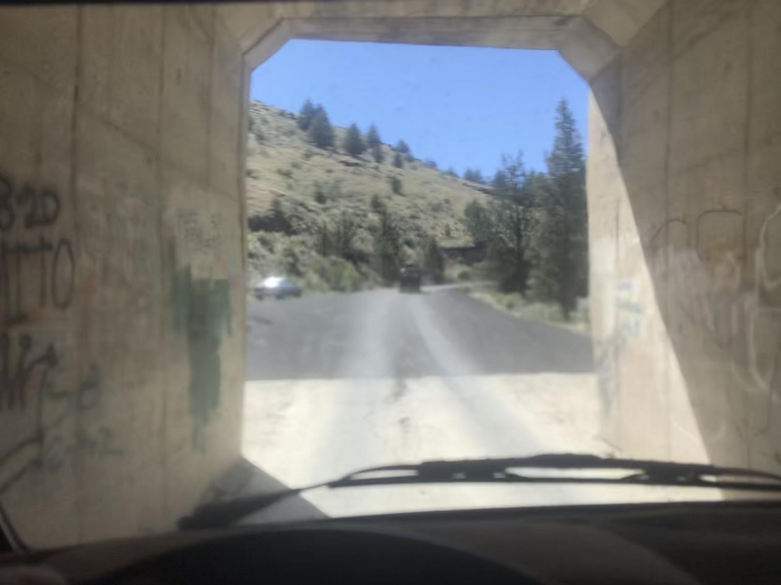Image may have been reduced in size. Click image to view fullscreen.