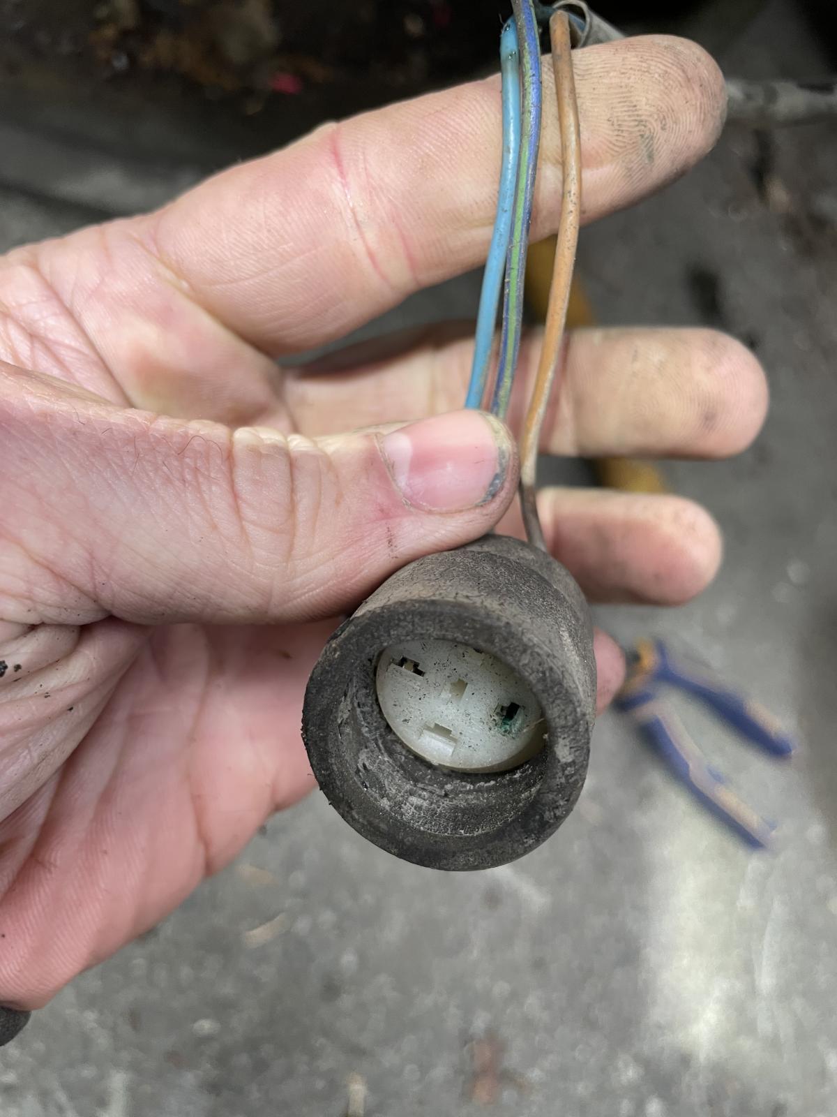 Image may have been reduced in size. Click image to view fullscreen.