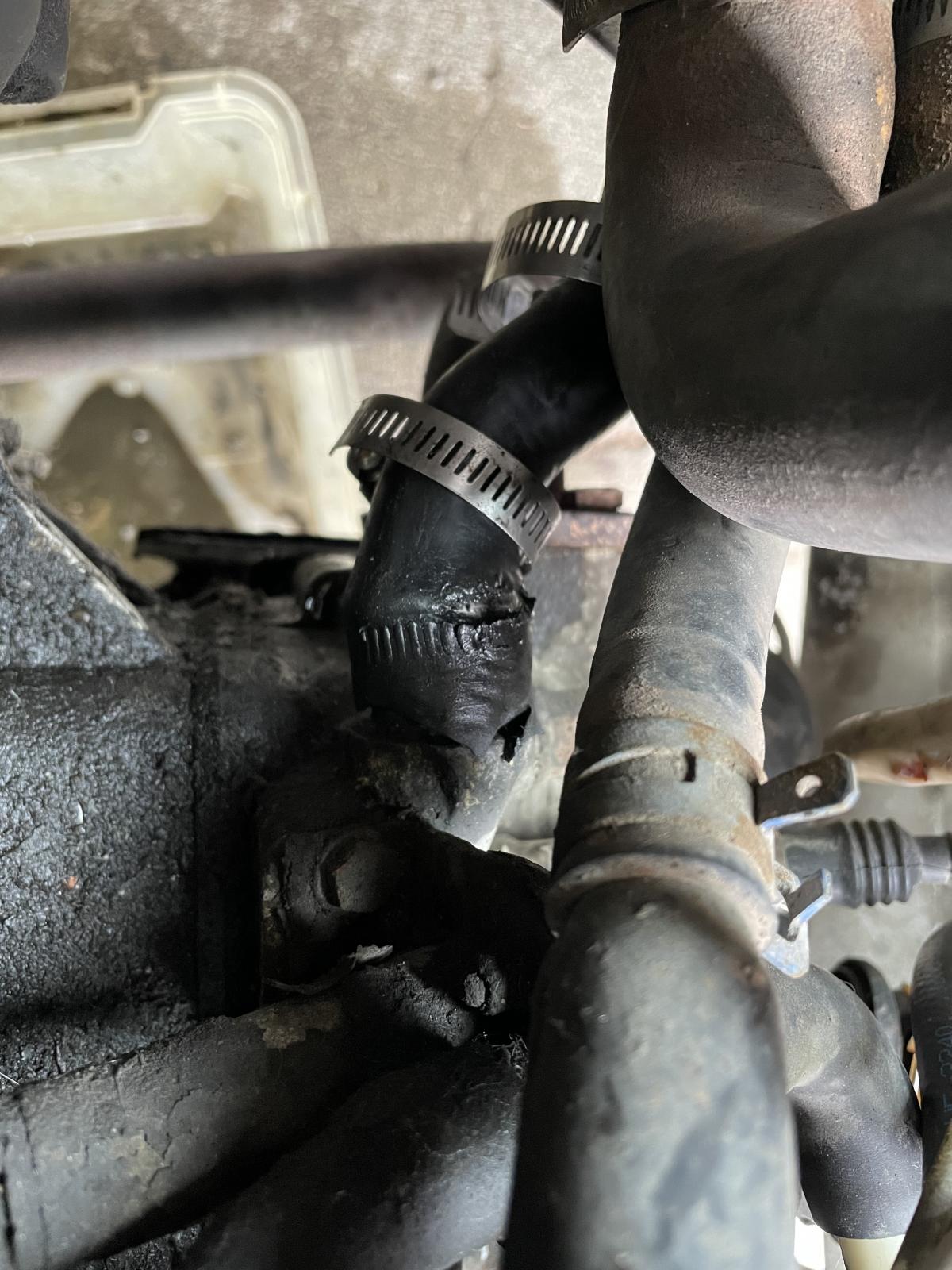 Image may have been reduced in size. Click image to view fullscreen.