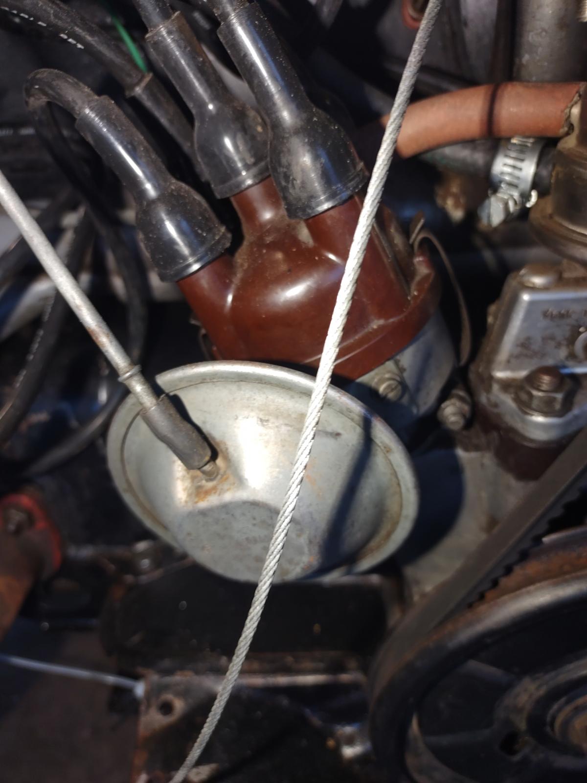 Image may have been reduced in size. Click image to view fullscreen.