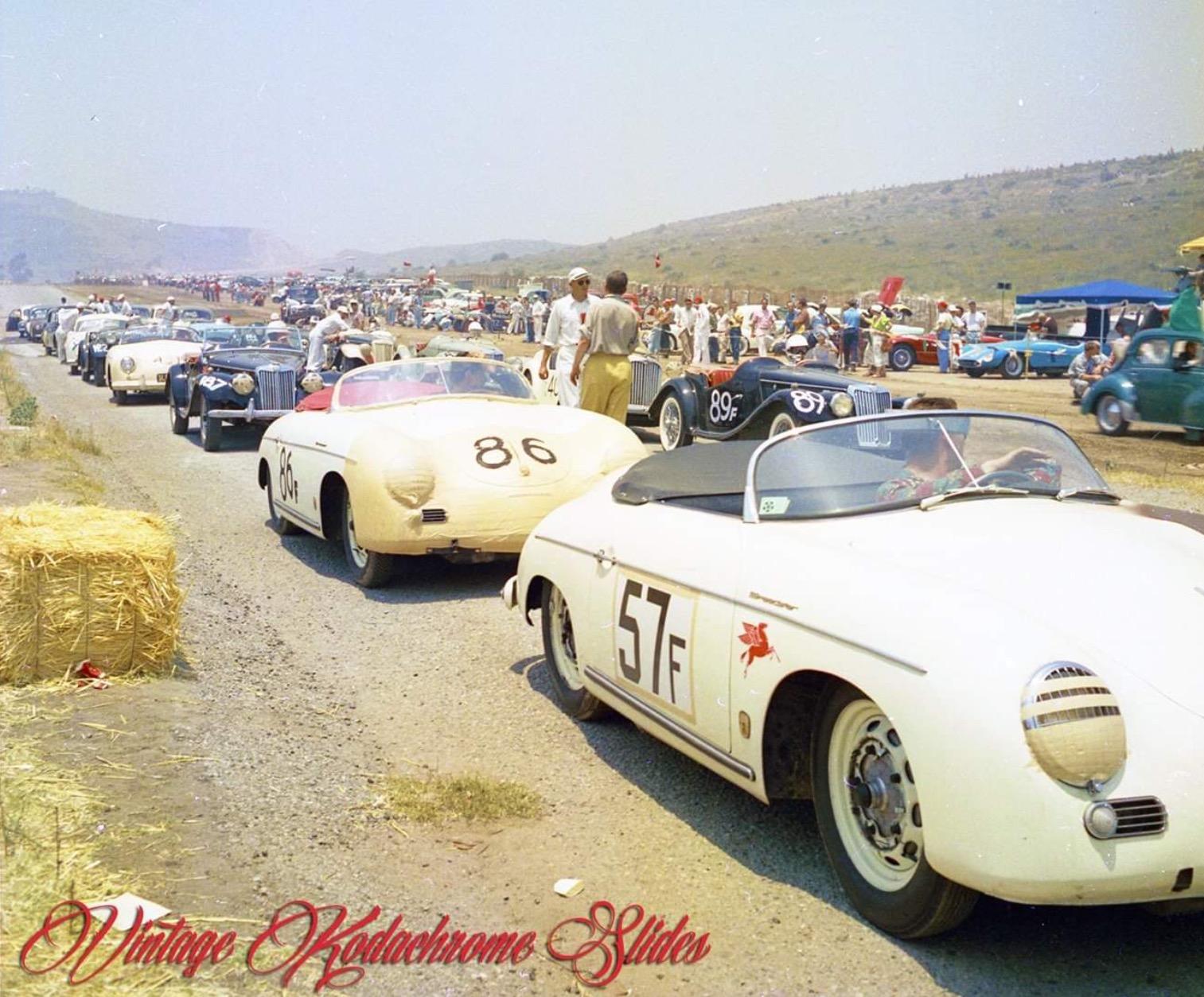 Image may have been reduced in size. Click image to view fullscreen.