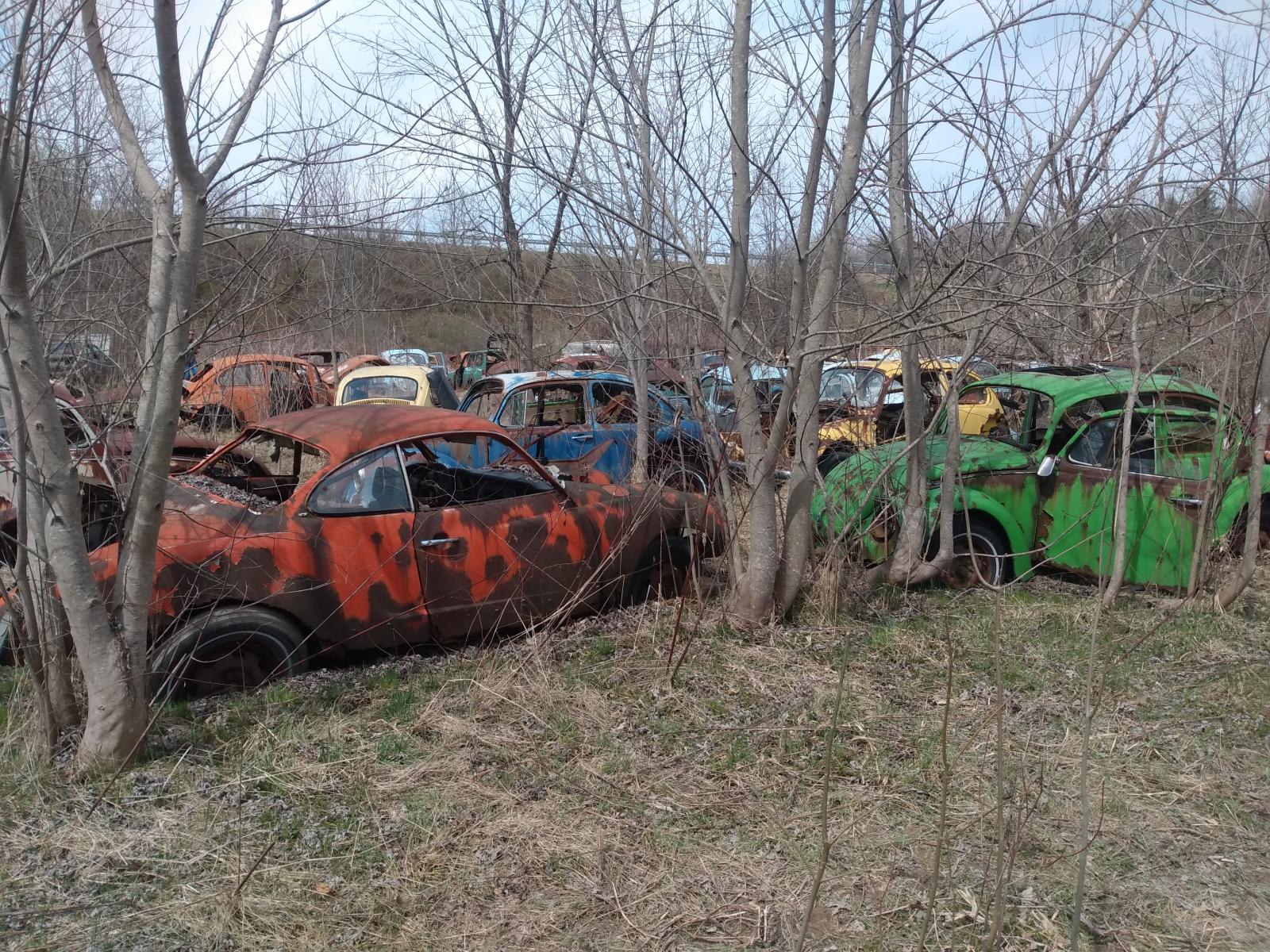 Image may have been reduced in size. Click image to view fullscreen.