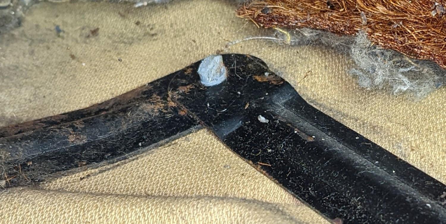 Image may have been reduced in size. Click image to view fullscreen.