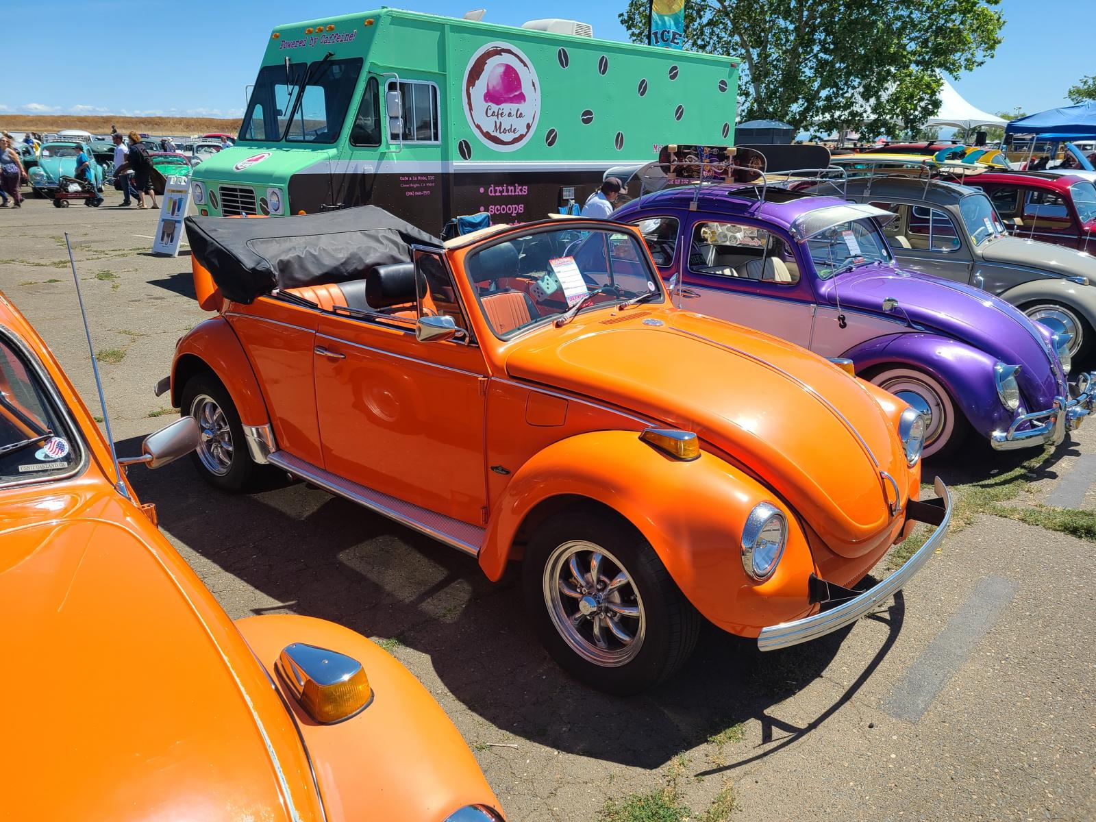 Gallery Convertible Bugs at Bugorama May, 2022 in