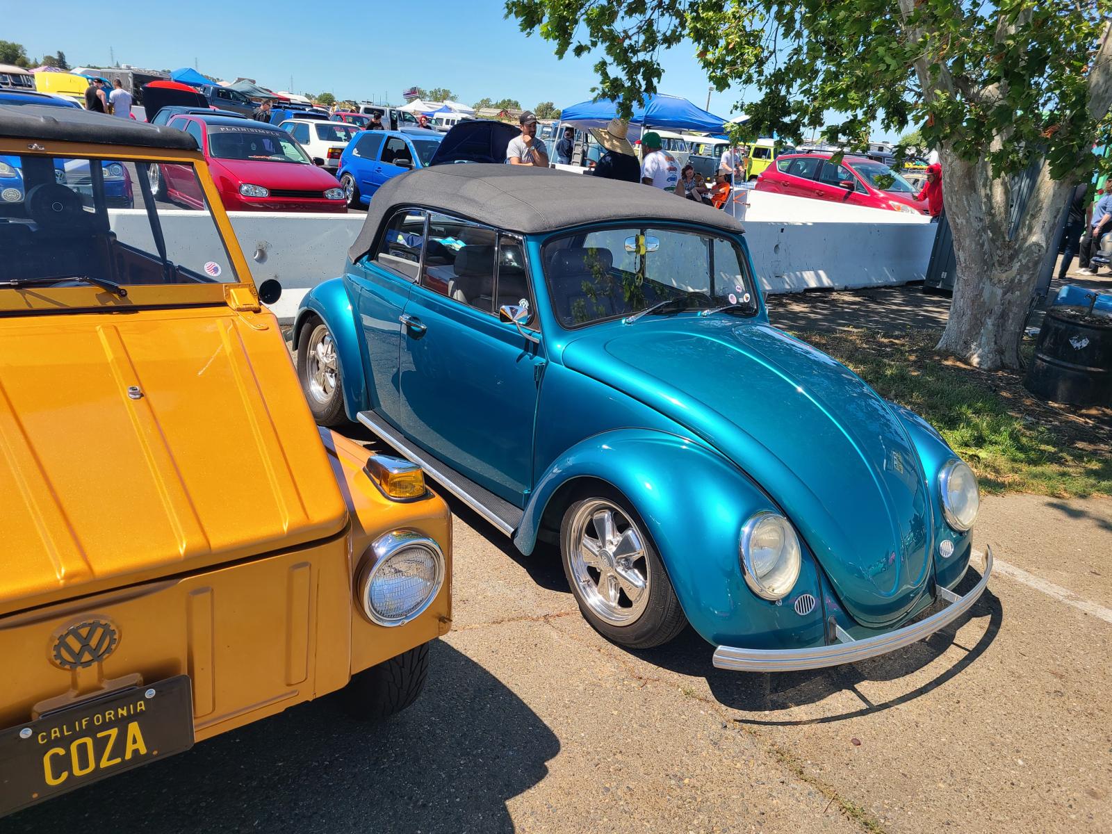Gallery Convertible Bugs at Bugorama May, 2022 in