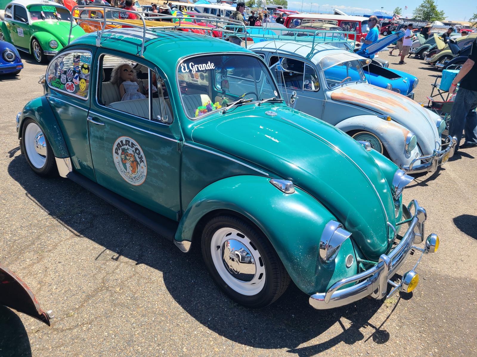 Gallery Bugs at Bugorama May, 2022 in Sacramento