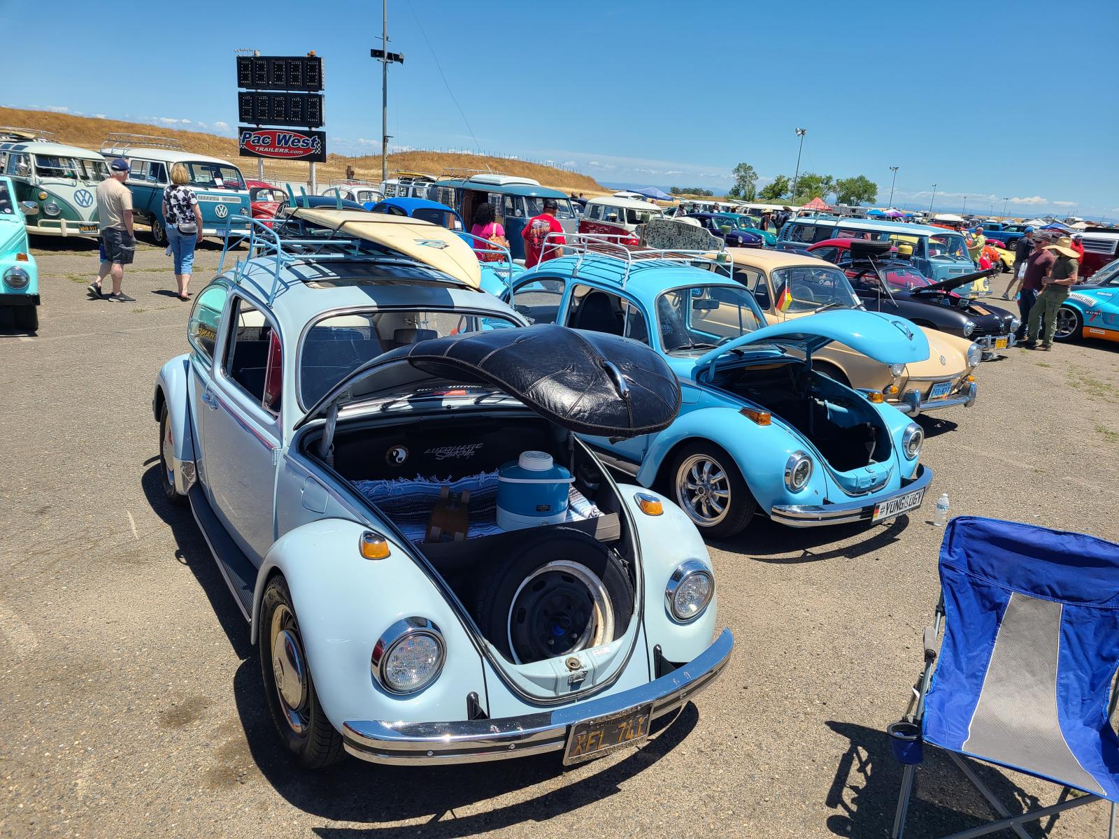 Gallery Bugs at Bugorama May, 2022 in Sacramento