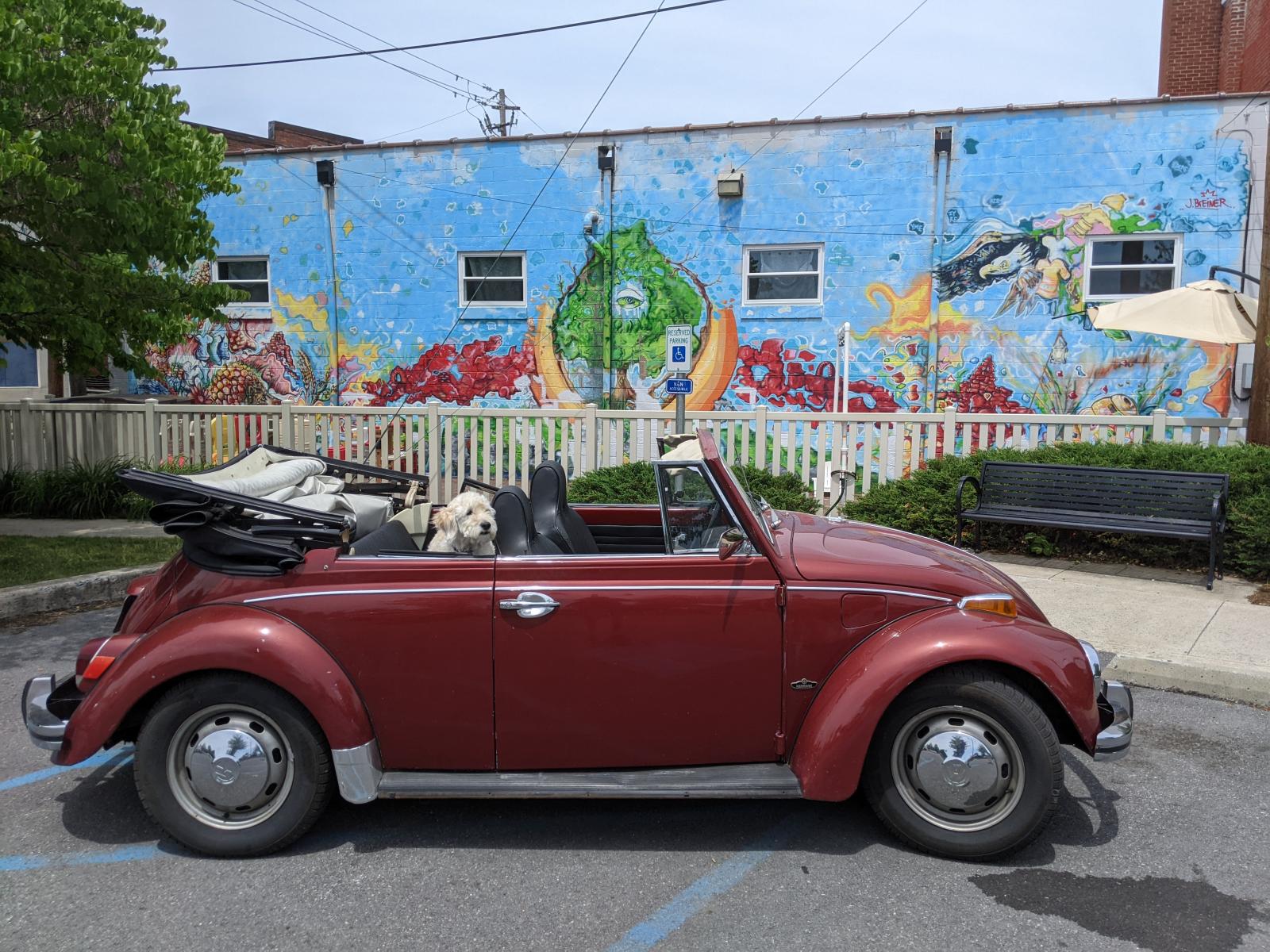 Image may have been reduced in size. Click image to view fullscreen.
