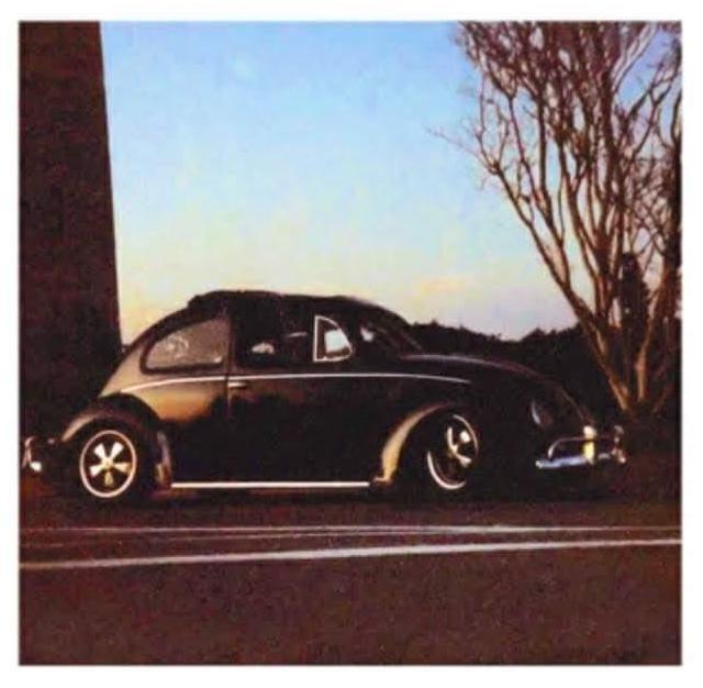 Image may have been reduced in size. Click image to view fullscreen.