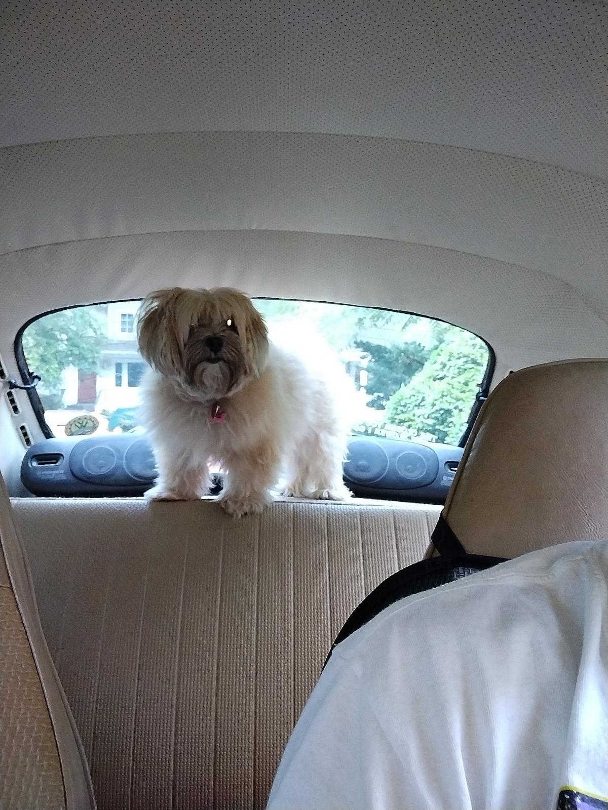 Image may have been reduced in size. Click image to view fullscreen.