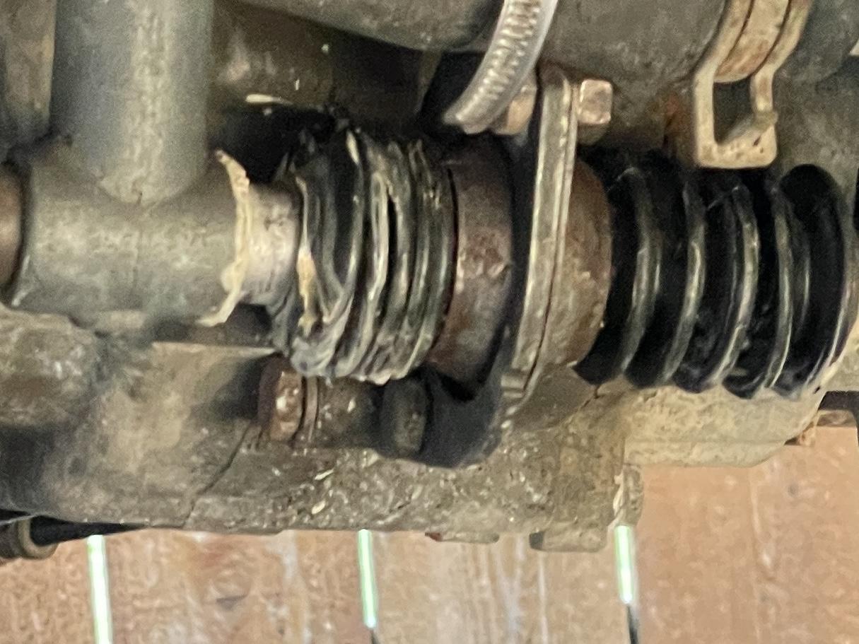 Image may have been reduced in size. Click image to view fullscreen.