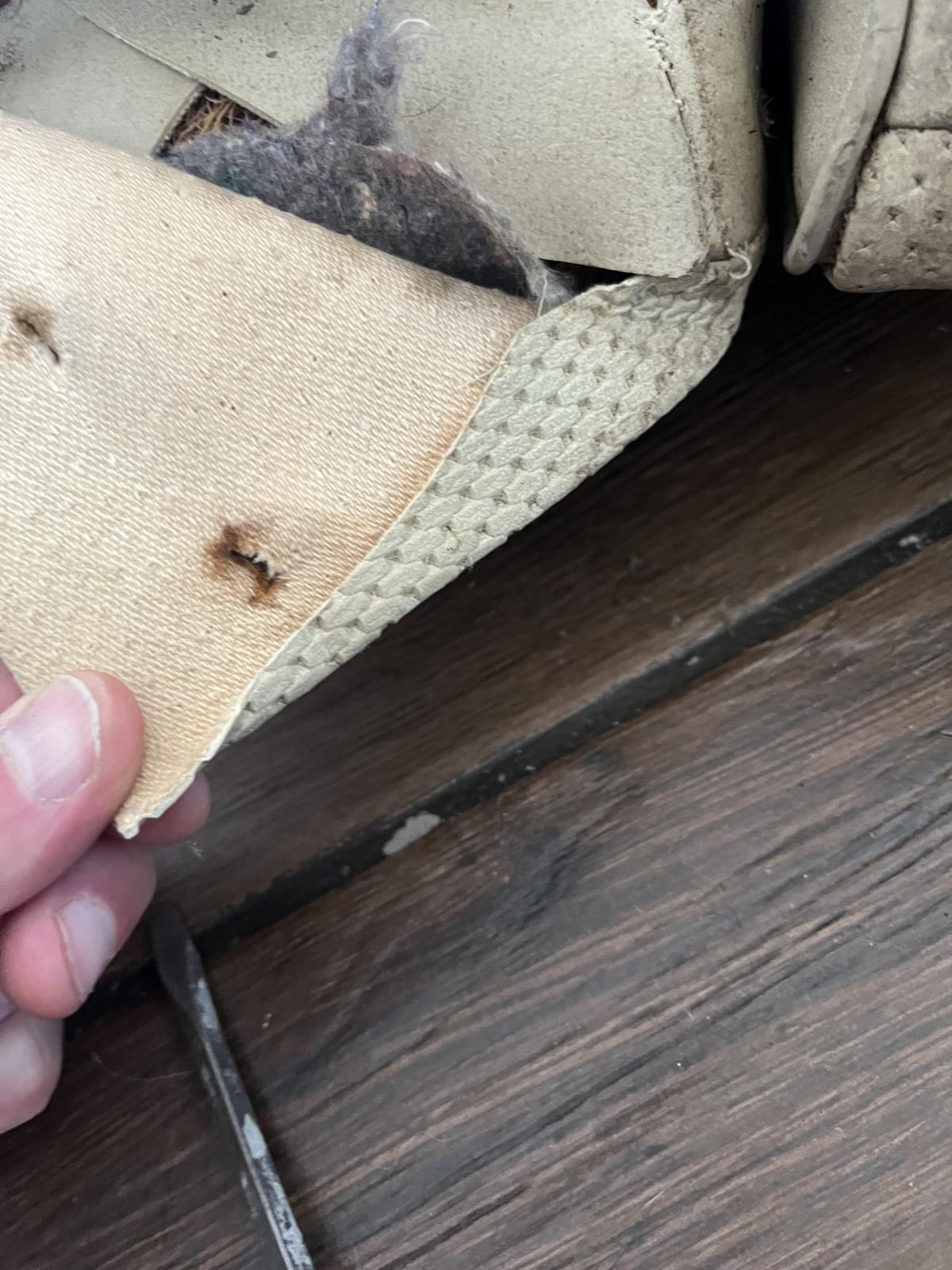 Image may have been reduced in size. Click image to view fullscreen.