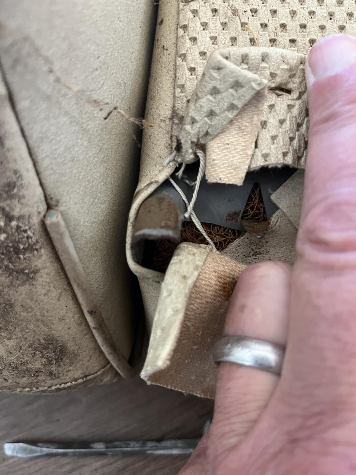 Image may have been reduced in size. Click image to view fullscreen.