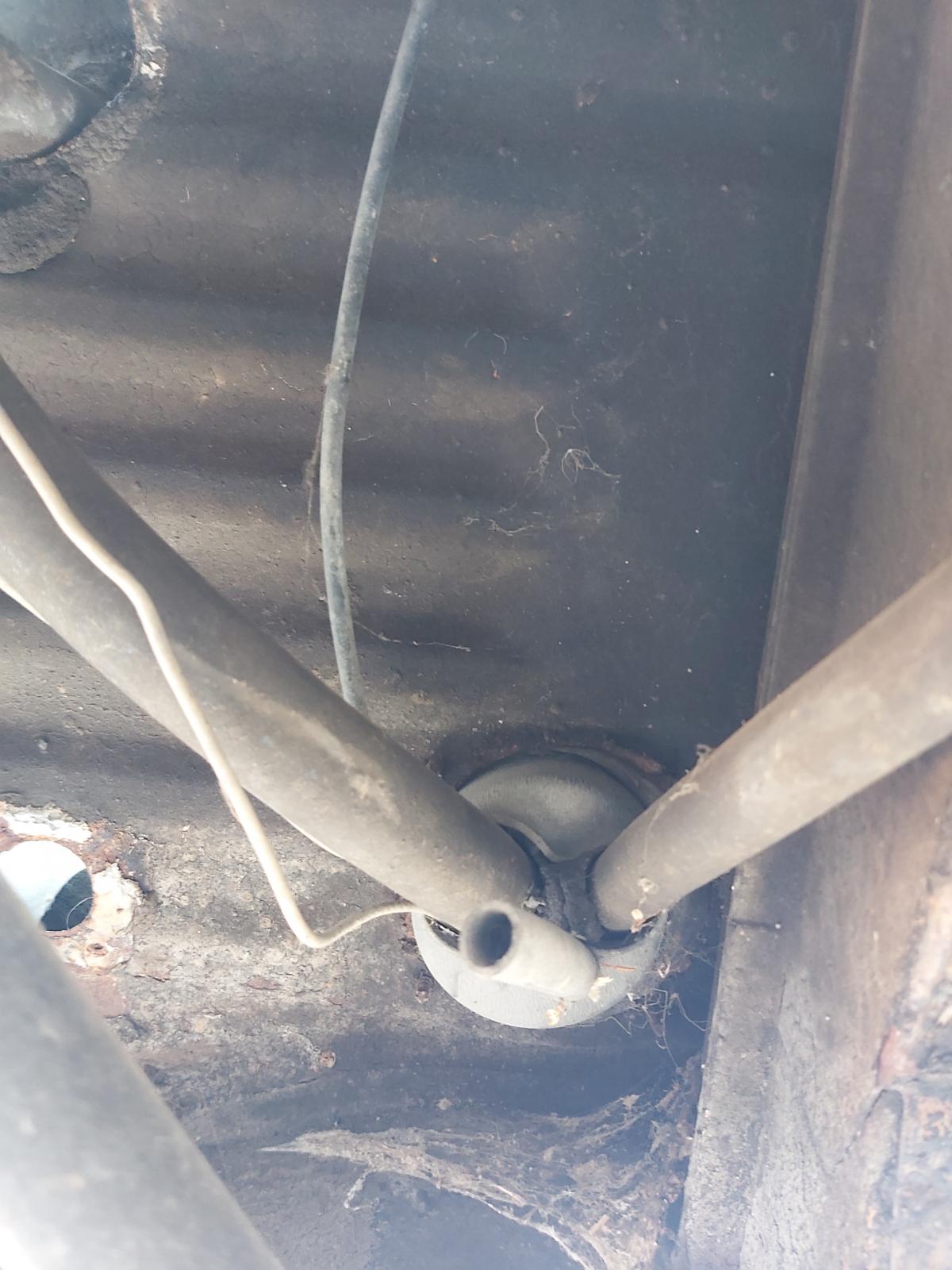 Image may have been reduced in size. Click image to view fullscreen.