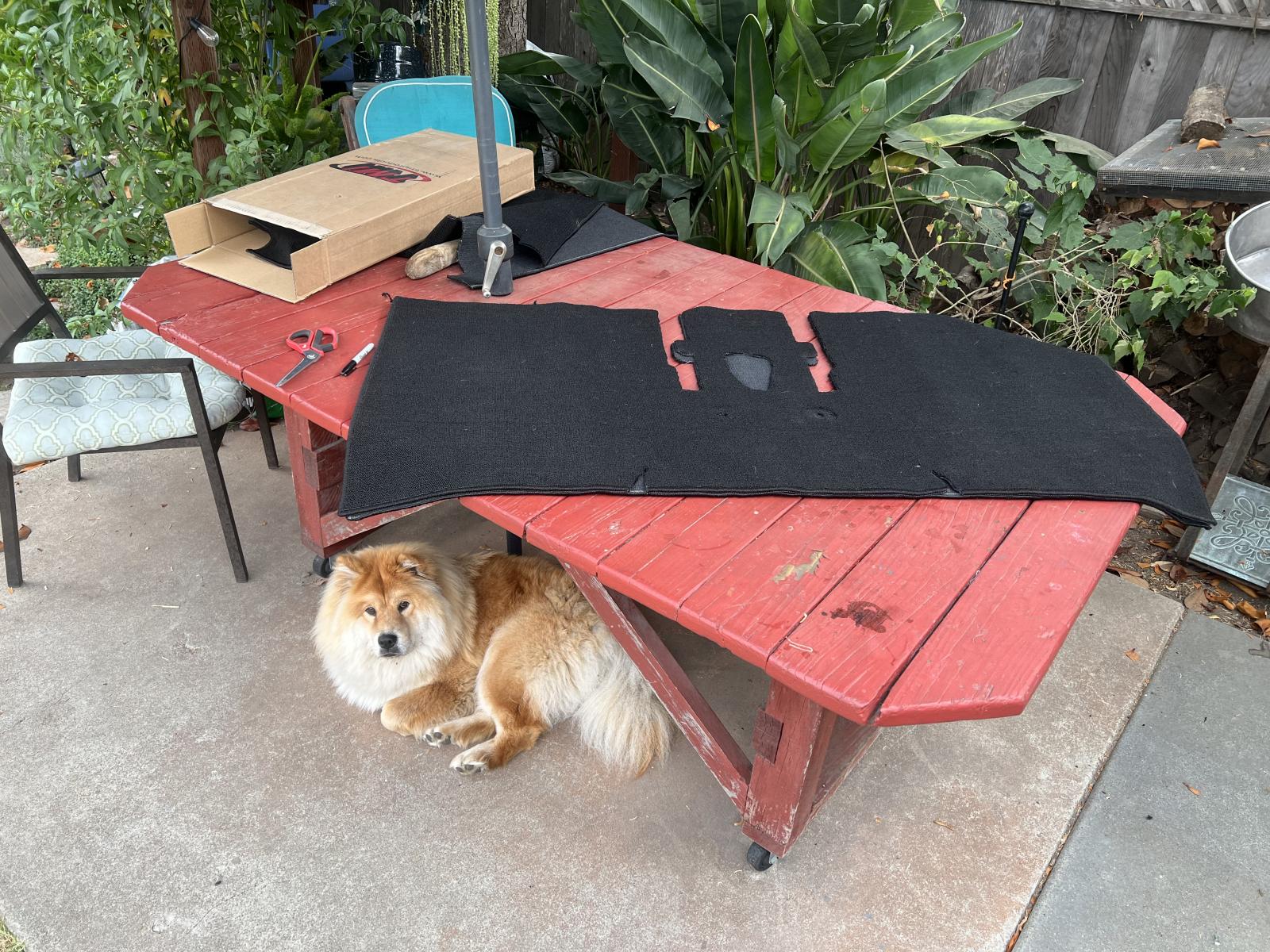 Image may have been reduced in size. Click image to view fullscreen.