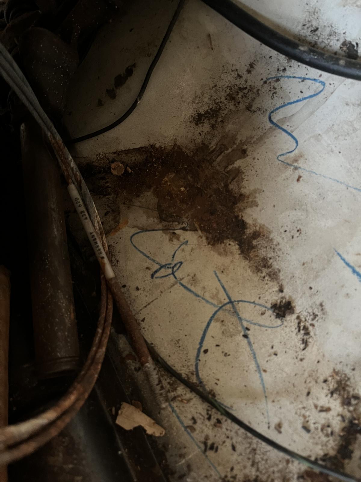 Image may have been reduced in size. Click image to view fullscreen.