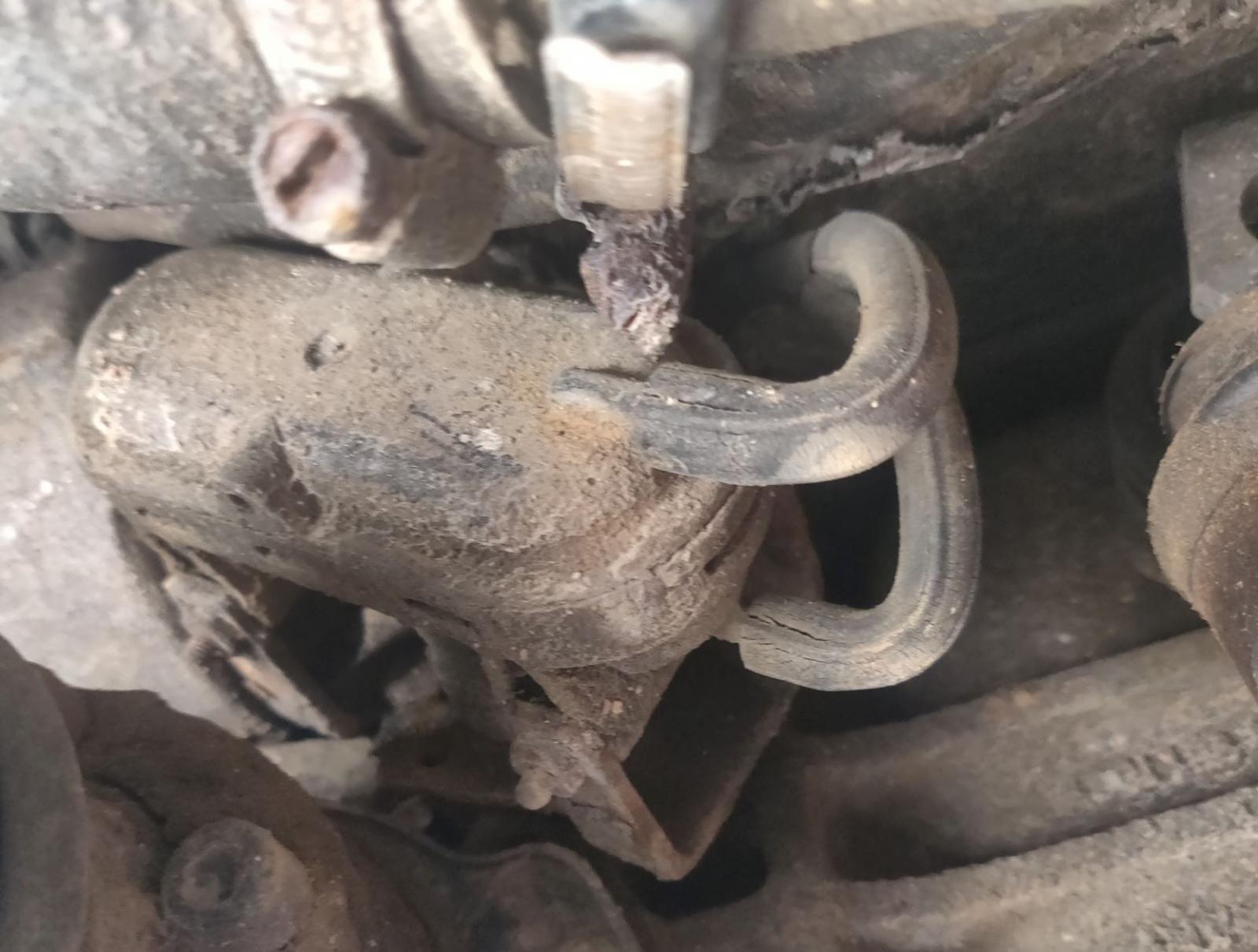 Image may have been reduced in size. Click image to view fullscreen.