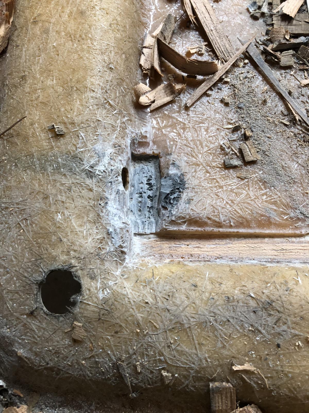 Image may have been reduced in size. Click image to view fullscreen.