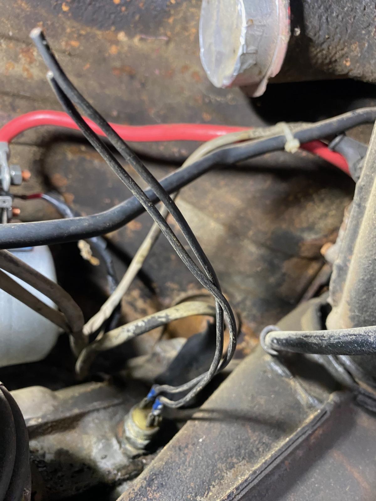 Image may have been reduced in size. Click image to view fullscreen.