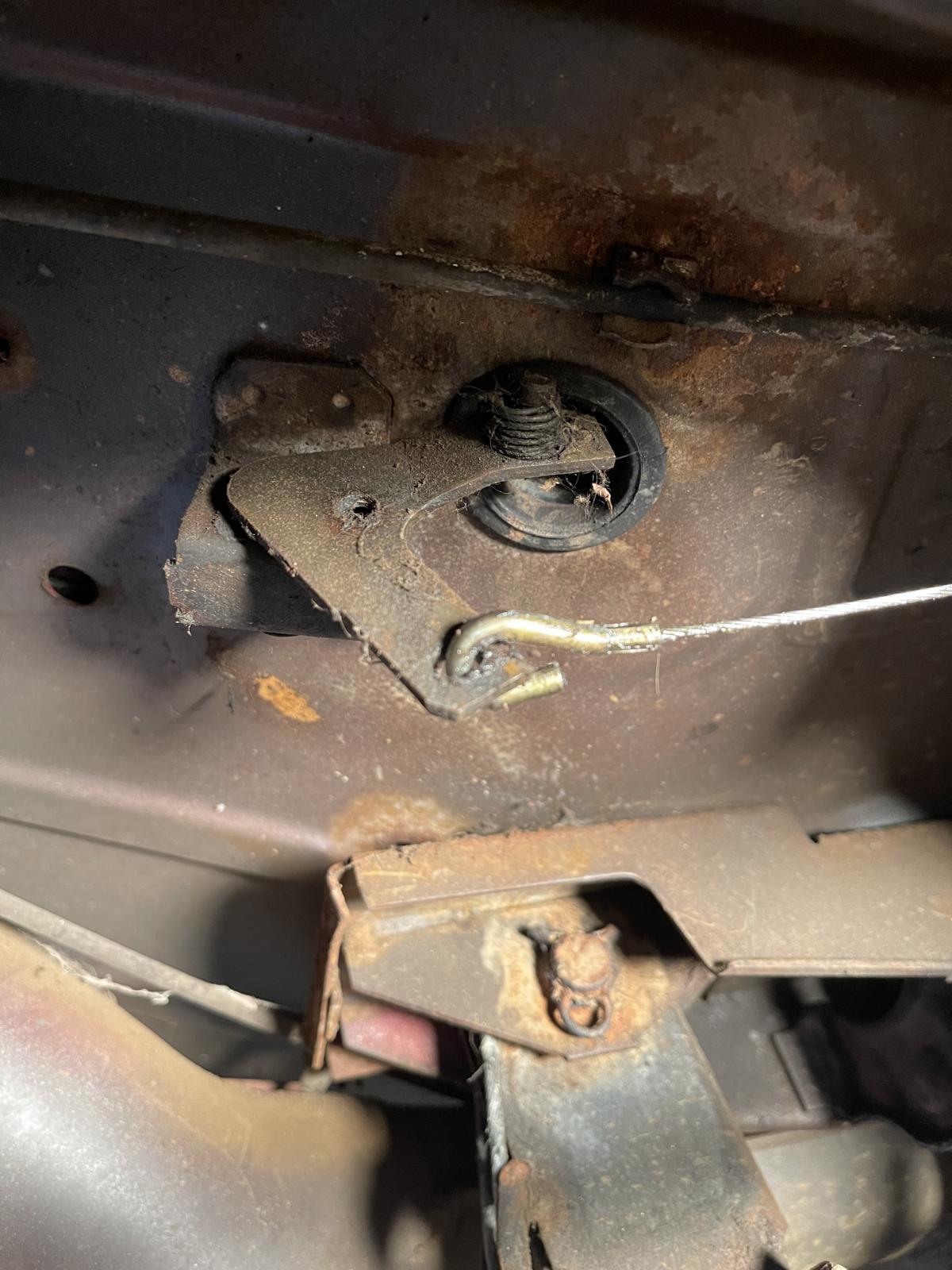 Image may have been reduced in size. Click image to view fullscreen.