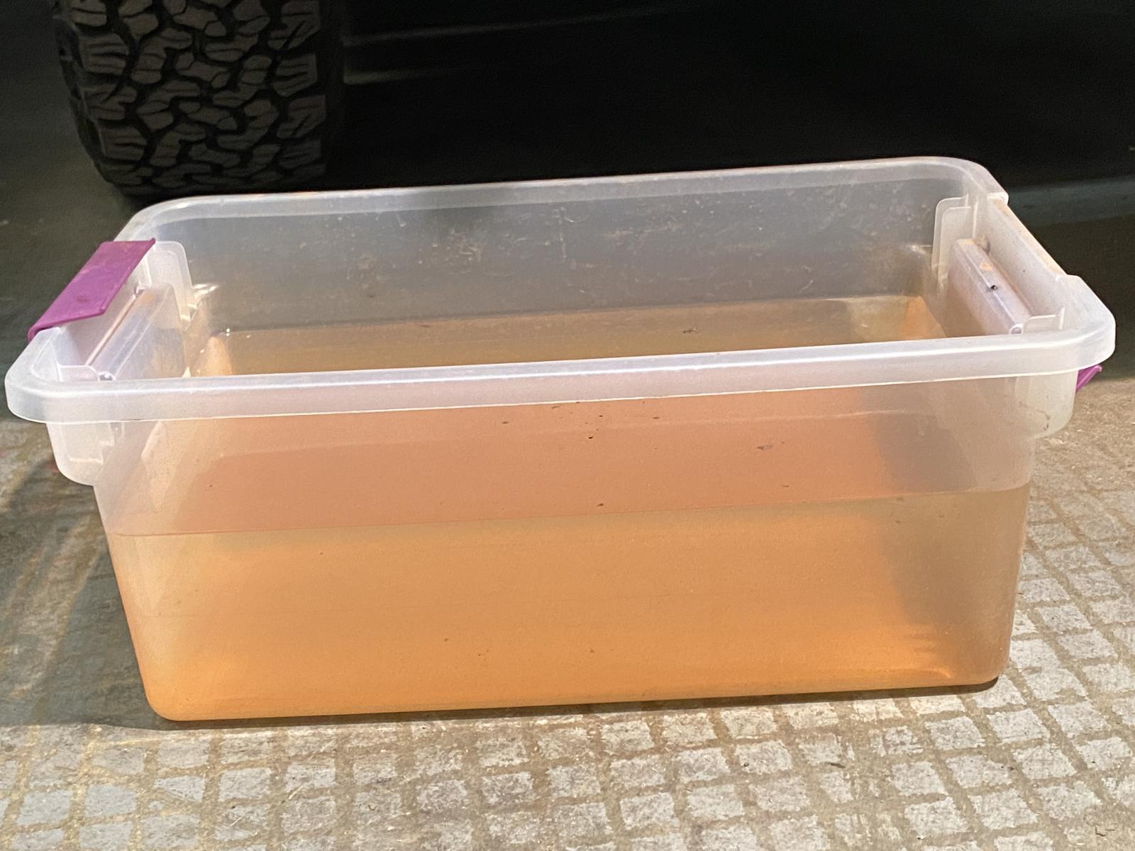 Image may have been reduced in size. Click image to view fullscreen.